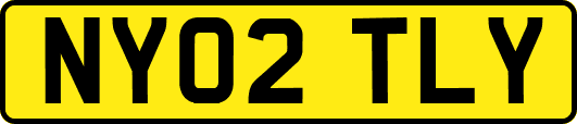 NY02TLY