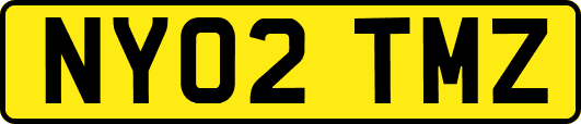 NY02TMZ