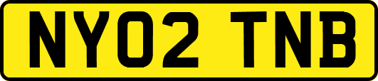 NY02TNB