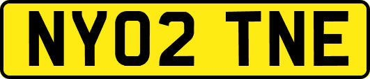 NY02TNE