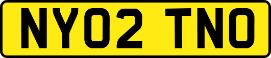 NY02TNO