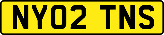 NY02TNS