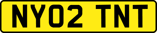 NY02TNT