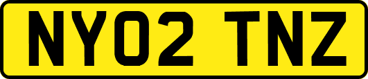 NY02TNZ