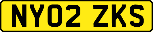 NY02ZKS