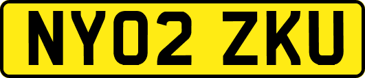 NY02ZKU