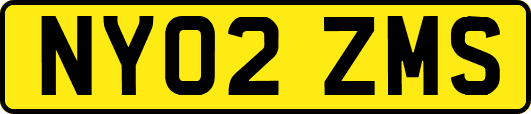 NY02ZMS