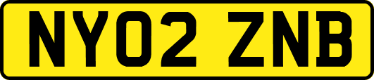 NY02ZNB