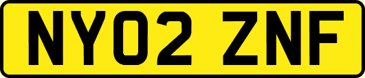 NY02ZNF