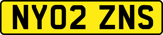 NY02ZNS