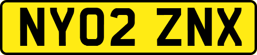 NY02ZNX