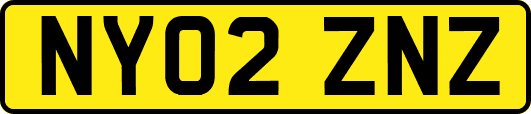 NY02ZNZ