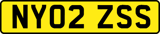 NY02ZSS