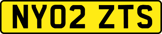 NY02ZTS