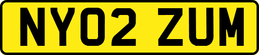NY02ZUM