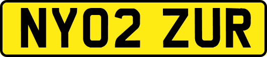 NY02ZUR