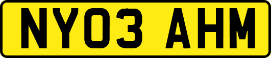 NY03AHM