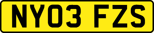 NY03FZS