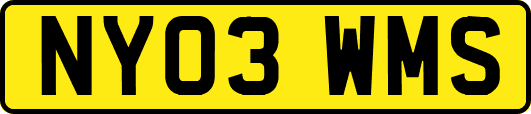 NY03WMS