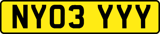 NY03YYY