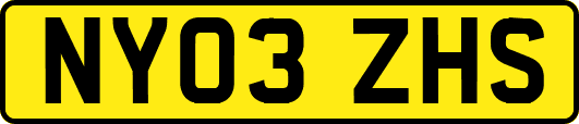 NY03ZHS