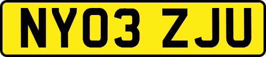 NY03ZJU