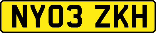 NY03ZKH