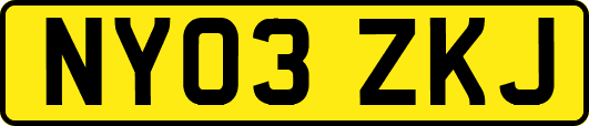 NY03ZKJ