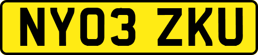 NY03ZKU