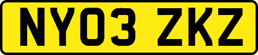 NY03ZKZ