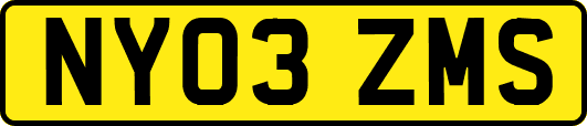 NY03ZMS