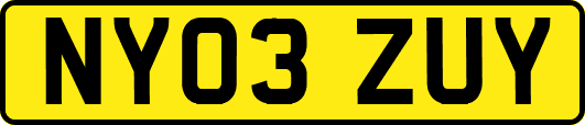 NY03ZUY