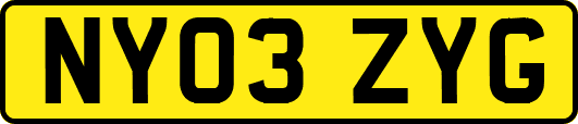 NY03ZYG