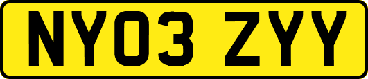 NY03ZYY