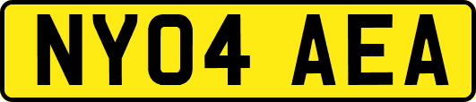 NY04AEA