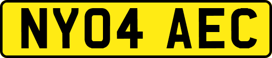 NY04AEC