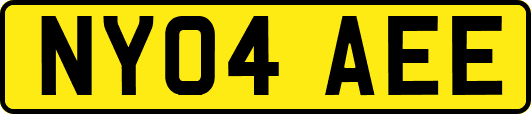 NY04AEE