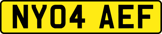 NY04AEF