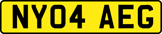 NY04AEG