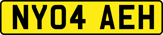 NY04AEH