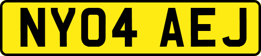 NY04AEJ