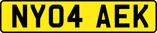 NY04AEK