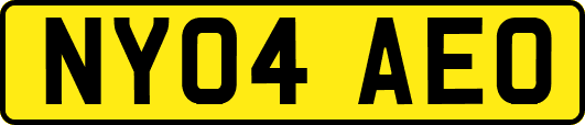 NY04AEO