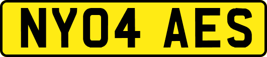 NY04AES
