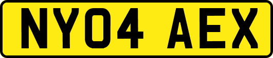 NY04AEX