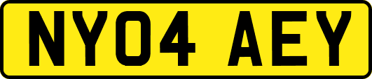 NY04AEY