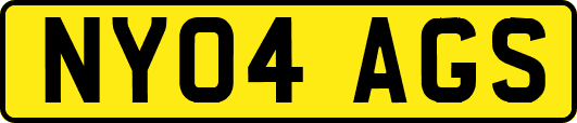 NY04AGS