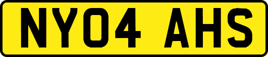 NY04AHS