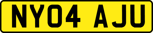NY04AJU