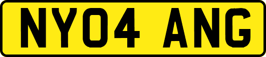 NY04ANG
